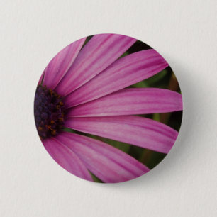 Macaron Rond 5 Cm Bouton pourpre d'Osteospurmum