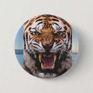 Macaron Rond 5 Cm Bouton principal de tigre