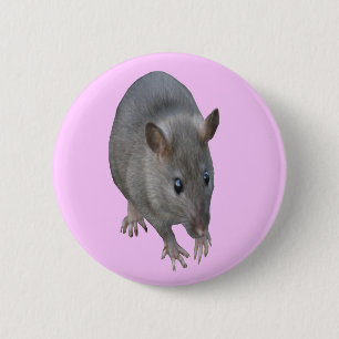 Macaron Rond 5 Cm Bouton Rat