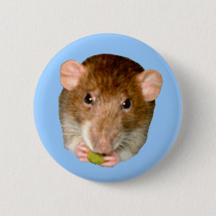 Macaron Rond 5 Cm Bouton Rat affamé