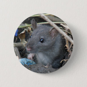 Macaron Rond 5 Cm Bouton Rat dans un trou