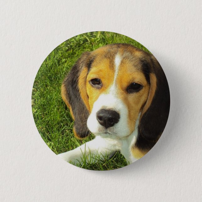 Macaron Rond 5 Cm Bouton rond de beagle (Devant)