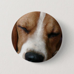 Macaron Rond 5 Cm Bouton rond de beagle de sommeil