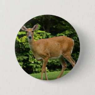 Macaron Rond 5 Cm Bouton rond de cerfs communs