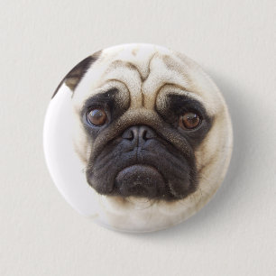 Macaron Rond 5 Cm Bouton rond de chien de carlin