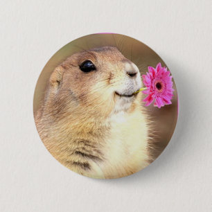 Macaron Rond 5 Cm Bouton rond de chien de prairie