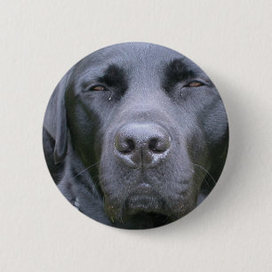 Macaron Rond 5 Cm Bouton rond de chien noir de labrador retriever