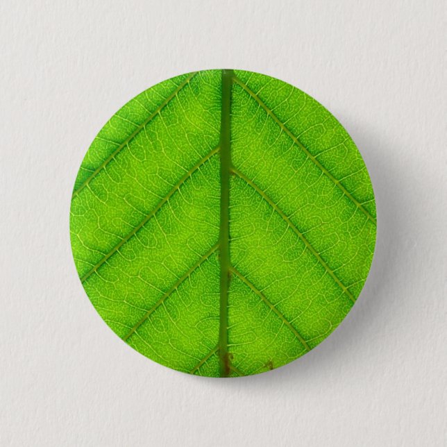 Macaron Rond 5 Cm Bouton rond de feuille verte (Devant)