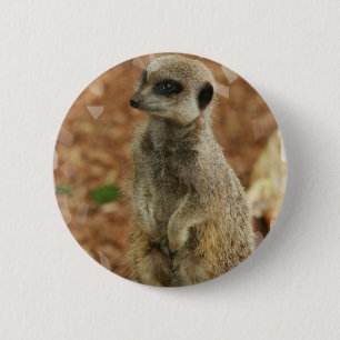Macaron Rond 5 Cm Bouton rond de Meerkat de bébé