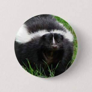 Macaron Rond 5 Cm Bouton rond de photo de mouffette