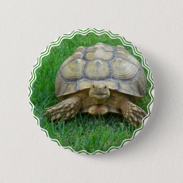 Macaron Rond 5 Cm Bouton rond de tortue (Devant)