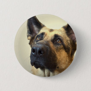 Macaron Rond 5 Cm Bouton rond d'image de berger allemand