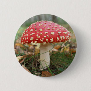 Macaron Rond 5 Cm Bouton rouge Agaric