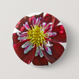 Macaron Rond 5 Cm Bouton Rouge Dahlia