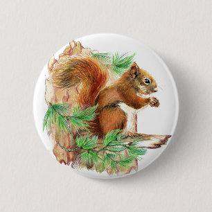 Macaron Rond 5 Cm Bouton Squirrel Wildlife
