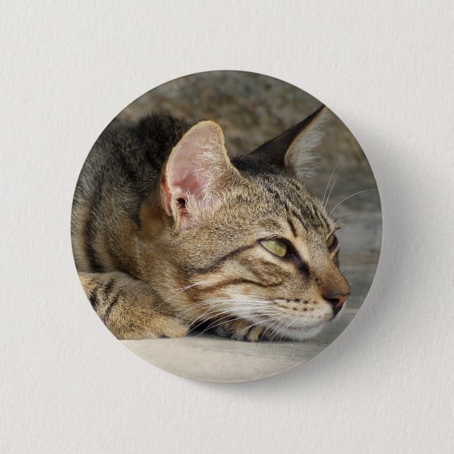 Macaron Rond 5 Cm Bouton Tabby Cat (Devant)