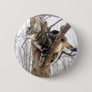 Macaron Rond 5 Cm Bouton Tabby Cat