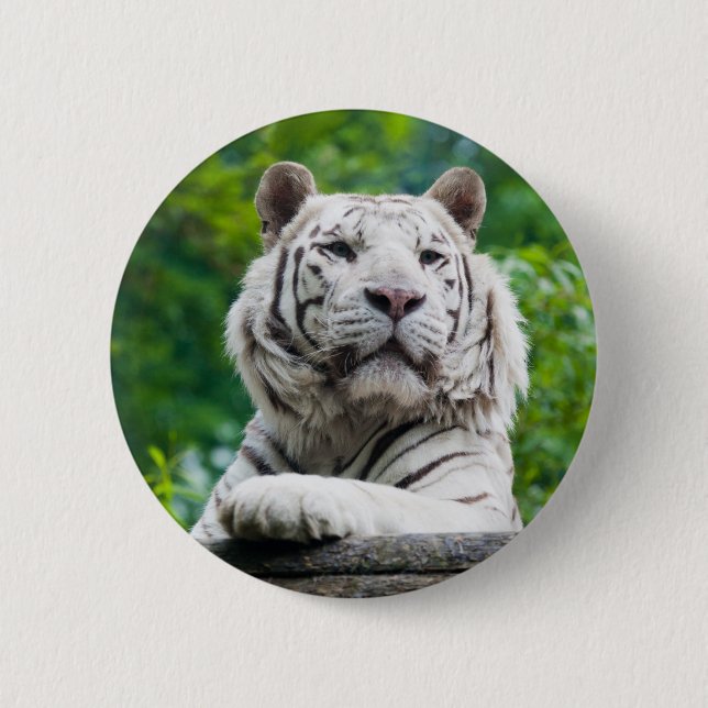 Macaron Rond 5 Cm Bouton Tiger blanc (Devant)