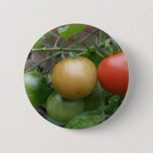 Macaron Rond 5 Cm Bouton Tomates de feux de circulation