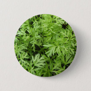 Macaron Rond 5 Cm Bouton Trucs de carotte
