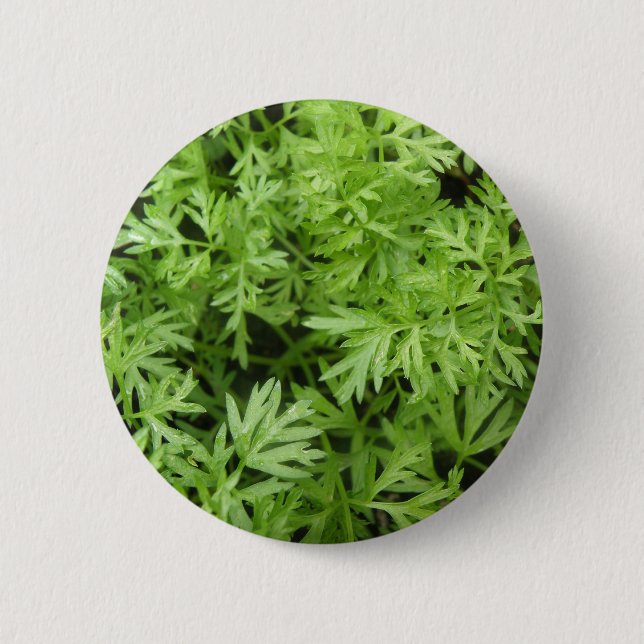 Macaron Rond 5 Cm Bouton Trucs de carotte (Devant)