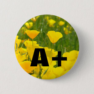 Macaron Rond 5 Cm Boutons Coquelicots Jardin Prairie Fleurs A+