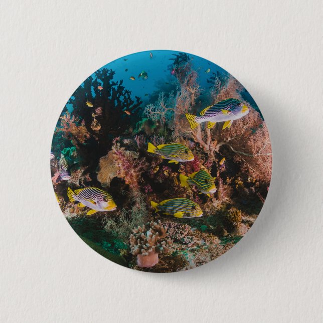 Macaron Rond 5 Cm Boutons Corail Reef (Devant)