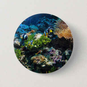 Macaron Rond 5 Cm Boutons Corail Reef