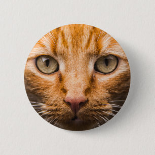Macaron Rond 5 Cm Boutons de chat de regarder