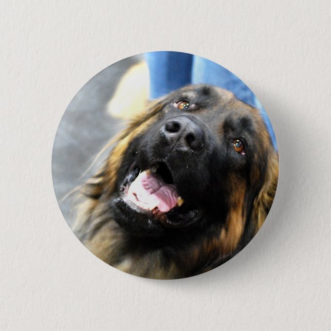 Macaron Rond 5 Cm Boutons de Leonberger (Devant)