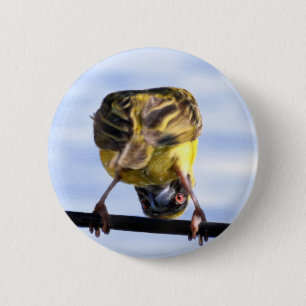 Macaron Rond 5 Cm Boutons mignons de birdie