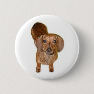 Macaron Rond 5 Cm br.dachshund