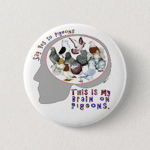 Macaron Rond 5 Cm Brain