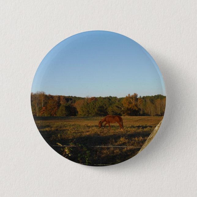 Macaron Rond 5 Cm Brown horse in the Sun (Devant)