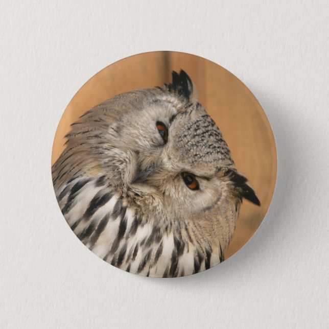 Macaron Rond 5 Cm Bubo bubo sibiricus (Devant)