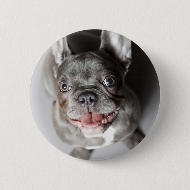 Macaron Rond 5 Cm Bulldog français (Devant)