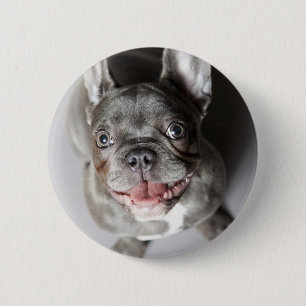Macaron Rond 5 Cm Bulldog français
