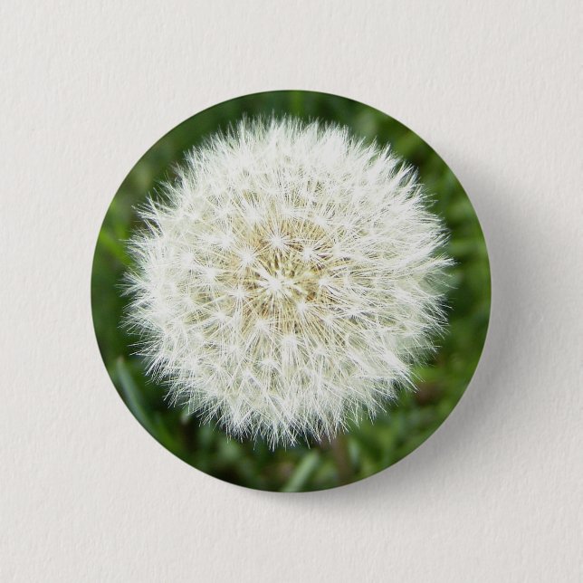 Macaron Rond 5 Cm bulle (Devant)