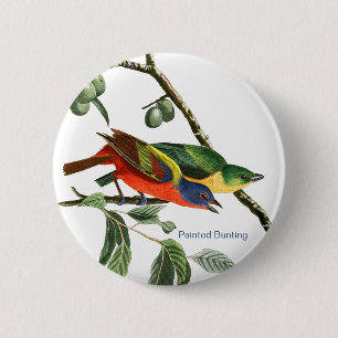 Macaron Rond 5 Cm Bunting Peint, Audubon, Birdwatcher Finch Bird,