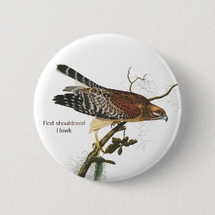 Macaron Rond 5 Cm Buse à épaulettes, Audubon, Oiseau de Birdwatcher