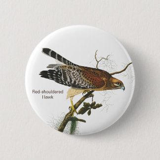 Macaron Rond 5 Cm Buse à épaulettes, Audubon, Oiseau de Birdwatcher