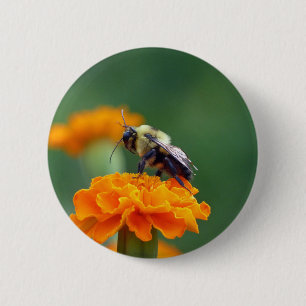 Macaron Rond 5 Cm Busy Bee