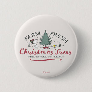 Macaron Rond 5 Cm cacahuètes   Arbres de Noël frais de ferme