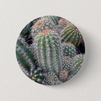 Macaron Rond 5 Cm Cactus
