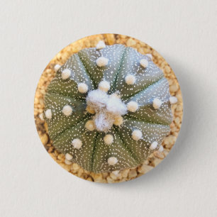 Macaron Rond 5 Cm Cactus rare de motif d'Astrophytum Asterias