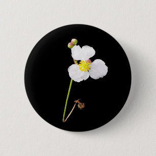 Macaron Rond 5 Cm Cadeaux et habillement blancs d'orchidée