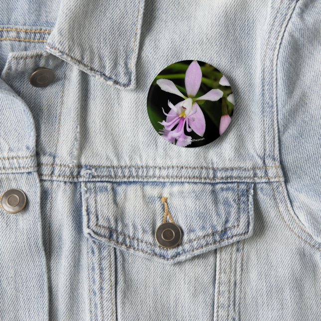 Macaron Rond 5 Cm Caligarium d'Epidendrum (En situation)