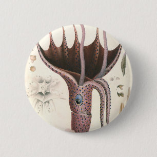 Macaron Rond 5 Cm Calmar Parasol, Animaux Marins Vintage
