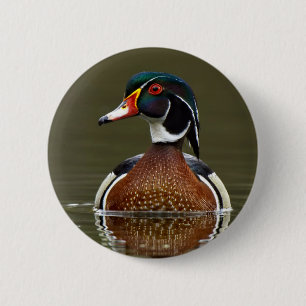 Macaron Rond 5 Cm Canard à bois sur l'eau