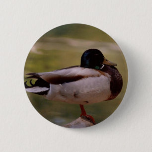 Macaron Rond 5 Cm Canard de Mallard